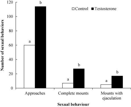 Figure 1. Sexual behaviour components of sexually inactive mixed-breed bucks subjected to testosterone treatment or not treated (control) during three weeks in March at 26°N. Number of behavioural events during 1 h in two events. a,bBars with different letters P < 0.05.