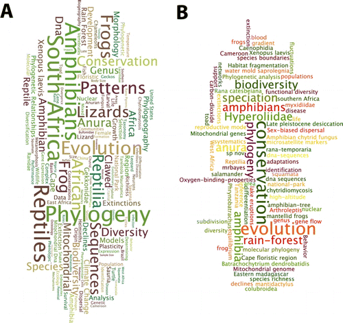 Figure 8.  Wordles of Thomson Reuters’ Web of Science KeyWords Plus for (A) all articles on African herpetofauna in 2010 compared with (B) those published in African Journal of Herpetology. Shared prominent keywords are ‘conservation’, ‘phylogeny’ and ‘evolution’.