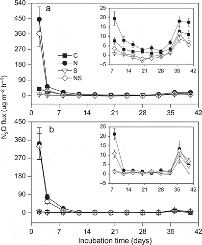 Figure 2 The nitrous oxide (N2O) fluxes in control (C), nitrogen (N), sulfur (S) and both nitrogen and sulfur (NS) additions under (a) low water table and (b) high water table during the investigation period. The panel situated in the upper right-hand corner of the figure is to show N2O fluxes from day 8 to day 40 more clearly. Values are means and standard errors for five replicate samples.