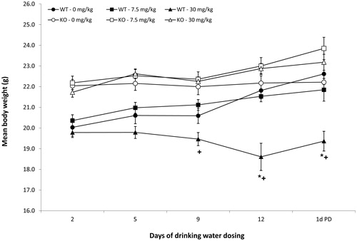 Figure 1. Body weights of mice exposed to PFOA via drinking water for 15 days. C57BL/6N mice (n = 8/dose). Data represent mean ± SD. *Statistical (p < 0.05) difference between treated group and appropriate 0 mg PFOA/kg group. +Statistical (p < 0.05) difference between WT and PPARα KO group at same PFOA dose. Note that the interval between weight collection days is not evenly spaced, as depicted by the graph.