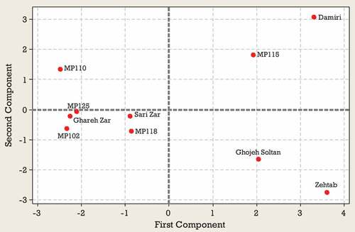 Figure 4. Score plot of Green gage genotypes for the first two PCAs at the second harvest time.
