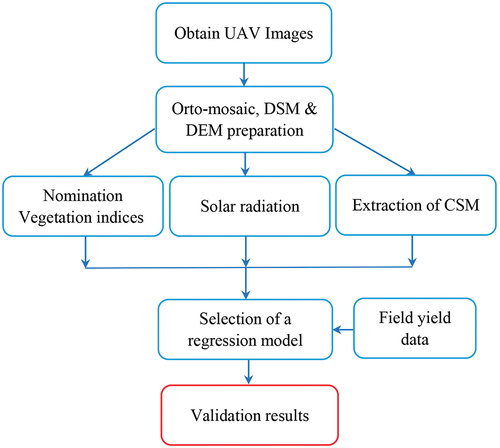 Figure 2. Methodological steps for wheat yield estimation based on UAV.