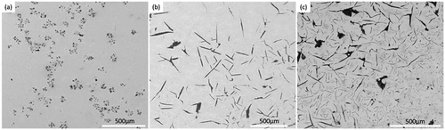 Figure 7. SEM micrograph of Fe-1.46 wt%Mn-2.69 wt%Si-Csat-N alloy quenched in (a) water, (b) air and (c) furnace