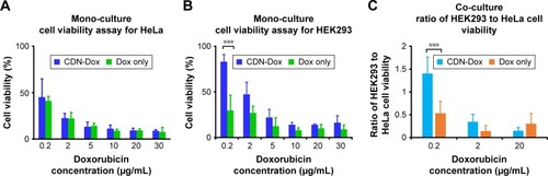 Figure 5 Percentage cell viability of (A) HeLa cells and (B) HEK293 cells after 48-h incubation with doxorubicin-loaded CDNs. Cell viability was assayed by staining with trypan blue and performing a viability count. (C) Ratio of HEK293 to HeLa cell viability in co-cultures, incubated for 48 h.Note: ***P<0.001.