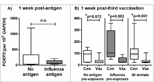 Figure 3. Reduced FOXP3 expression in BAL cells following pulmonary influenza ISCOMATRIX™ vaccinations. Study 2: (A) BAL cells were collected from sheep 1 week after exposure to influenza antigen alone via the lung and a matching group that received no antigen (n = 16). (B) Half of each group received 3 influenza ISCOMATRIX™ vaccinations (Vax) while the other half were left unvaccinated (Con). BAL cells were collected one week after the third vaccination. FOXP3 levels in BAL cells were quantified by qPCR relative to GAPDH (*ANOVA).