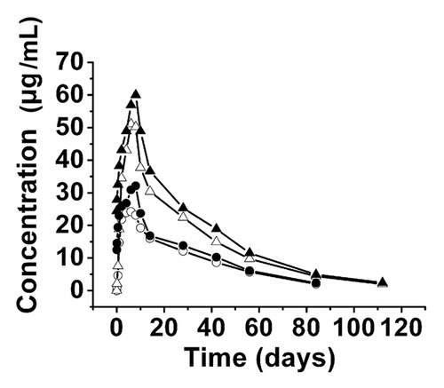 Figure 4 Serum CMAB007 concentration-time curve in healthy, male Chinese subjects following single and multiple doses of 150 mg and 300 mg. Single-dose of 150 mg (○, n = 9); multiple-dose of 150 mg (●, n = 3); single-dose of 300 mg (△, n = 9); multiple-dose of 300 mg (▴, n = 5). Data were expressed as mean values.