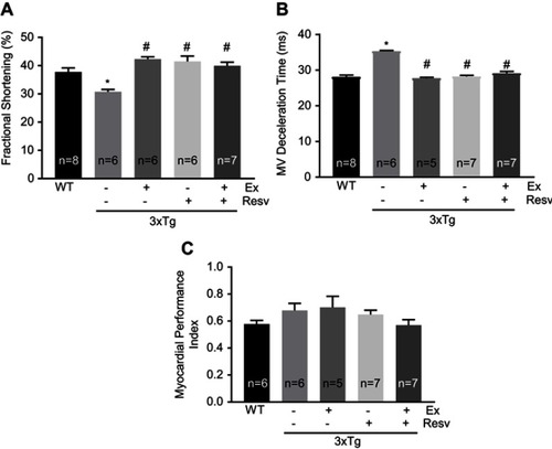 Figure 7 Evaluation of left ventricular contractile properties. LV fractional shortening was significantly reduced in 3xTg mice when compared to WT mice. All treatment protocols normalized fractional shortening (A). Mitral valve deceleration time was significantly increased in 3xTg mice when compared to WT controls. All treatment protocols significantly increased mitral valve deceleration time (B). Myocardial performance index was similar in all groups of mice. (C). Values are reported as mean ± SEM for 5–8 mice in each group. * vs WT control, # vs 3xTg, P<0.05.Abbreviations: LV, left ventricle; WT, wild-type.