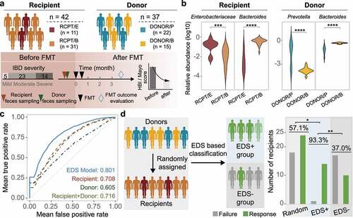 Figure 5. Construction and validation of the enterotype-based donor selection model. (a) Outline of the validation cohort (n = 42). Characteristics of recipient and donor are depicted in the upper and bottom panel. Response rate was determined based on a at least 3-month follow-up for each recipient. (b) Dominant taxa of recipients and donors from different enterotype in the validation cohort. Enterotype of each individual was assigned by the medoids of the known enterotypes. Enterobacteriaceae represents the dominant genus in RCPT/E. (c) Receiver-operating characteristic (ROC) curves for the enterotype-based donor selection (EDS) model and other alternative models by 5-fold cross-validation with 500 iterations in CDI and IBD (n = 286). (d) The performance of the EDS model in the validation cohort (n = 42). The left panel depicts the schema of donor assignment (the random group) and by the EDS model (the EDS group). The right panel depicts the distribution of FMT outcomes (response and failure) in the random group and the EDS group. Asterisks indicate significance (****p < .0001, ***p < .001, **p < .01, *p < .05).