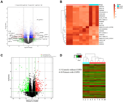 Figure 1 The differential expression of lncRNAs and mRNA in COPD and non-COPD lung tissues. (A) The volcano plot of differential expressed lncRNAs in COPD compared to non-COPD lung tissues. The expressions of lncRNAs were presented in red (≥2-fold change and P<0.05), green (≥2-fold change but P≥0.05), blue (≤2-fold change and P<0.05), and gray (NS). (B) Hierarchical clustering showed the top differential expression of lncRNAs in COPD (red bar) and non-COPD (blue bar) lung tissues. The expression was displayed on a scale from light (low) to deep (high). (C) The volcano plot of differentially expressed mRNAs in COPD compared to non-COPD lung tissues. The expression of upregulated mRNAs was presented in red (≥2-fold change and P<0.05), downregulated in green (≥2-fold change and P<0.05) and gray (NS). (D) The hierarchical clustering of all differential expressed mRNAs in COPD (red bar) compared to non-COPD (blue bar) lung tissues. The expression was displayed on a scale from green (low) to red (high).