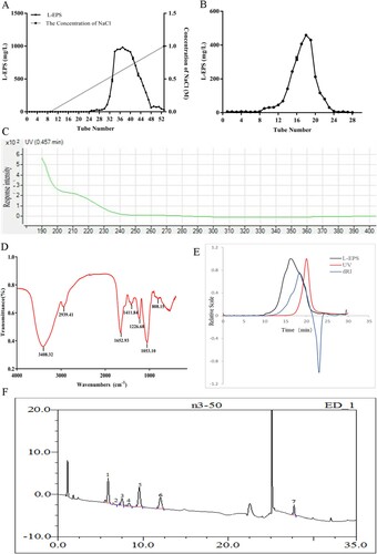 Figure 1. The characterization of L-EPS. (A) Elution profile of EPS produced by strain L. casei WXD030 on DEAE-sepharose fast flow column. (B) Elution profile of EPS on Sepharose CL-6B gel column. (C) UV spectra of L-EPS, in the range of 180–400 nm. (D) FT-IR spectra of L-EPS in the range of 600–4000 cm−1. (E) Chromatography of L-EPS by multi-angle laser light scattering instrument (18°). (F) Ion chromatography of L-EPS hydrolysates. The peaks correspond to Glucosamine (peak 1), arabinose (peak 2), D-galactosamine (peak 3), galactose (peak 4), glucose (peak 5), mannose (peak 6) and glucuronic acid (peak 7).