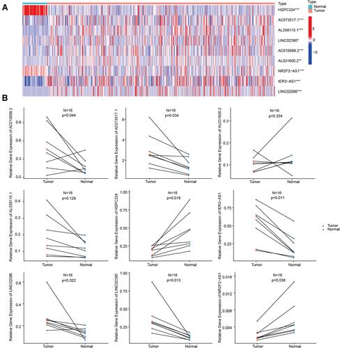 Figure 5 Expression patterns of the nine glycolysis-related lncRNAs. (A) Heatmap of the expression of the nine glycolysis-related lncRNAs in tumor and normal samples. (B) Expression of the nine glycolysis-related lncRNAs in eight pairs of LUAD tumor and normal tissues. *P<0.05, **P<0.01, ***P<0.001.