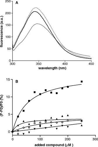 Figure 2.  Panel A: Fluorescence spectra of single tryptophan OGC mutants in detergent solubilized form. Cys184Trp: grey dashed line; Arg190Trp: black solid line; Leu199Trp: grey solid line. Excitation wavelength is 295 nm. Protein concentration is 20 µM in DM buffer, pH = 7.1. Panel B: Percentage of the peak fluorescence emission intensities as a function of added compound concentration. Solid symbols represent titration with oxoglutarate. Triangles: Cys184Trp; wedges: Arg190Trp; squares: Leu199Trp. Data for non specific binding in the presence of citrate are shown for Leu199Trp mutant in open diamonds. The curves represent the fit of the experimental data considering a one-site binding model.