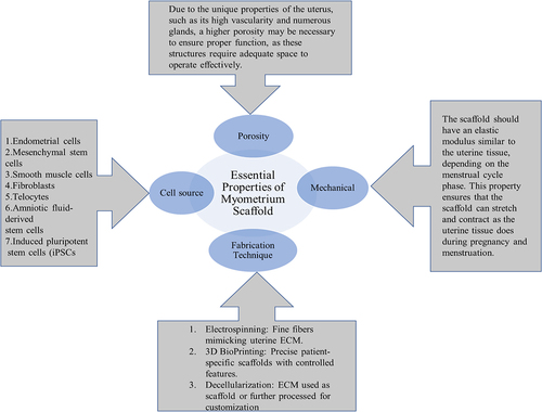 Figure 7. Essential properties of an ideal uterine patch.