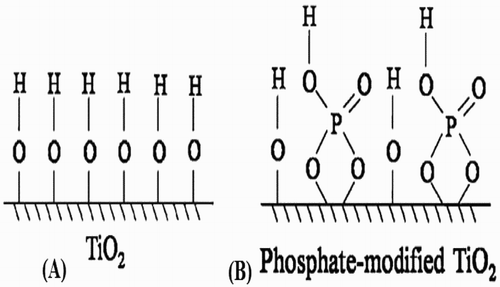 Figure 7. Schematic for the surface forms of un-modified (A) and phosphate-modified TiO2 (B). Adapted from reference ( Citation34) with permission. Copyright 2012, Royal Society of Chemistry.