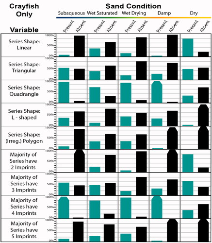 Figure 17. Experimental crayfish trackway trends for series shape and number of imprints per series, split by five sand conditions (all slopes included in each of the five conditions, so variability due to slope is accounted for). Shown are the percentages of analyzed trackway segments (ATS) in a condition that are present and absent. Tapering added to bars near 100% for visual clarity.