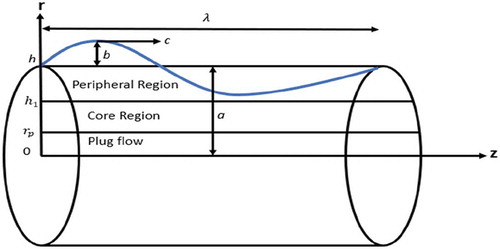 Figure 1. Geometric representation of peristaltic waves in a tube.