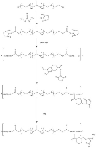 Figure 2 Synthetic scheme of P123-PEI-R13.Abbreviation: LMW-PEI, low-molecular-weight polyethylenimine.
