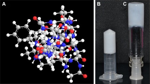 Figure 1 Supramolecular self-assembling of peptide.Notes: (A) 3D structure of RADA-F6, (B) 5-FU-entrapped RADA-F6 hydrogel, (C) blank RADA-F6 hydrogel.Abbreviations: 5-FU, 5-fluorouracil; 3D, three dimensional. RADA-F6 peptide was synthesized manually through solid-phase peptide synthesis. Fmoc Rink linker was utilized in order to get the peptide C-terminal as amide (Figure S1).
