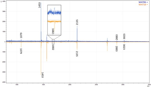 Fig 8 ZooMS spectra for WH706 (fin whale/Balaenidae identification) and WH718 (Balaenidae identification), highlighting the 1682 spectra marker characteristic for the Balaenidae. Note the lack of a clear peak at Peptide C for 706, making it impossible to identify the specimen as either fin whale or Balaenidae. Figure by Camilla Speller.