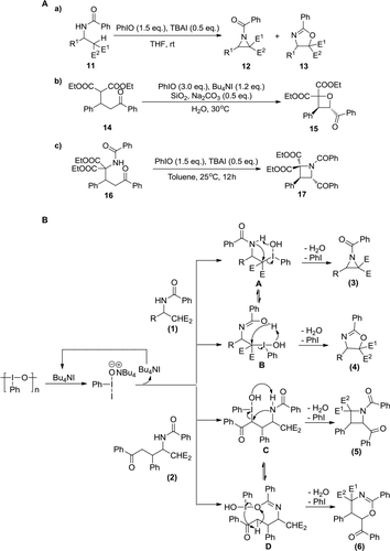 Figure 4 (A) (a) PhIO-mediated synthesis of three-membered ring 12 and five-membered ring 13. (b) PhIO-mediated synthesis of oxetane 15. (c) PhIO-mediated synthesis of azetidine 17 (B) Proposed mechanism of (a) and (c).