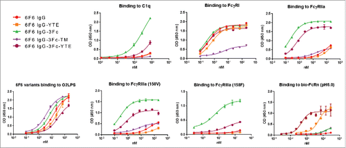 Figure 9. Binding profiles of IgG Fc variants with Fc point mutations to FcγRs, C1q and antigens. The 2 isoforms of FcγRIIIa (158F and 158V) are indicated.