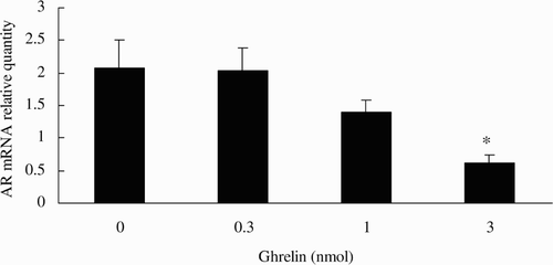 Figure 4.  AR mRNA levels as a function of ghrelin. Expression of AR mRNA in the testis after injection of different dosages of ghrelin in rats. *significant differences between the control and injected group (P < 0.05).