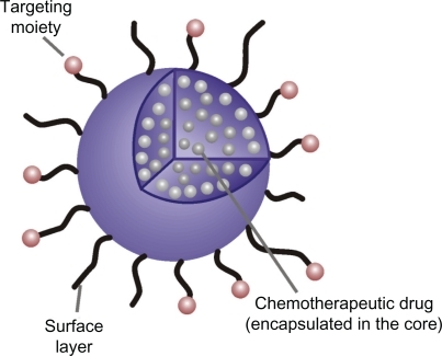 Figure 5 Targeted polylactide-co-glycolide nanoparticle carrying the chemotherapeutic drug.