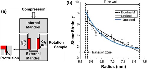 Figure 12. (a) Schematic illustration of high-pressure tube twisting process [Citation154]. (b) Shear strain gradient within tube wall examined by experiments and simulation for IF (interstitial free) steel tube processed by high-pressure tube twisting [Citation156].