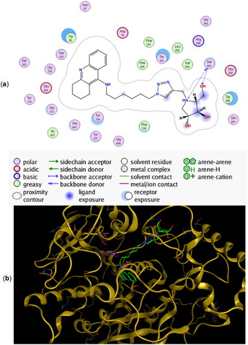 Figure 4. (a) Docking simulations for the interactions in the 11a-rhAChE complex. (b) Three-dimensional structure of rhAChE showing the binding mode of compound 11a. The residues, Ser203, His447, and Glu334 corresponding to the catalytic triad are depicted in sticks.