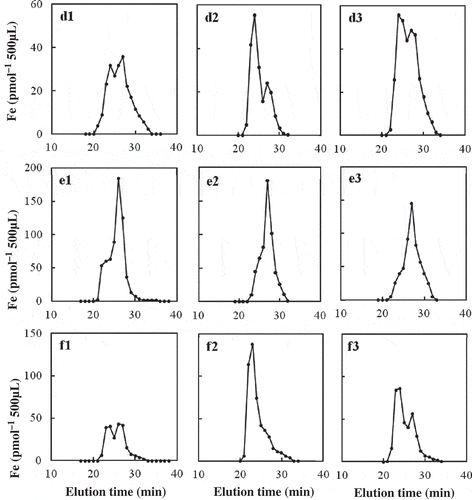 Figure 3 Size-exclusion high-performance liquid chromatography (SE-HPLC) analysis of iron (Fe) in xylem saps from soil-grown tomato (Lycopersicon esculentum Mill. cv. Momotaro; d1–d3), soybean (Glycine max Merr. cv. Fukuyutaka; e1–e3), and castor bean (Ricinus communis cv. Mizuma; f1–f3).