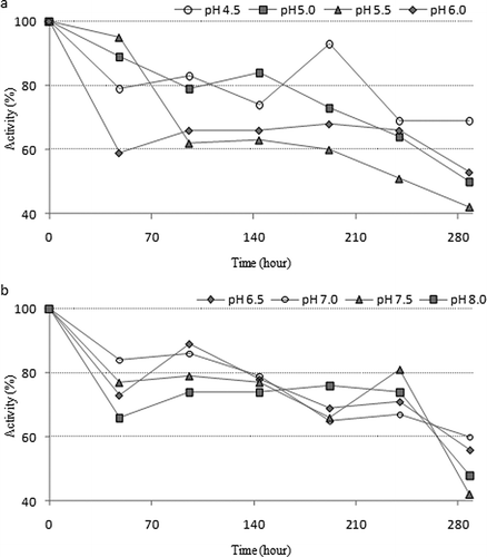 Figure 4 Stable pH studies of chard peroxidase: (a) pH 4.5–6.0 and (b) pH 6.5–8.0.