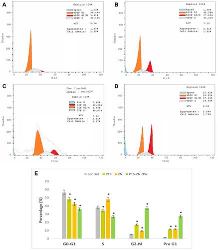 Figure 5 PTS-ZN NS impact on cell-cycle phases. (A) Control; (B) PTS; (C) ZN; (D) PTS-ZN NSs; (E) graphic representation of each phase.
