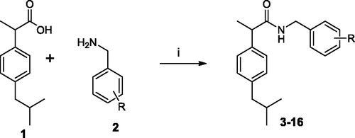 Scheme 1. Synthesis of Ibuprofen amides 3–16. (i) EDC, OH-Bt, MeCN, r.t. 24 h.