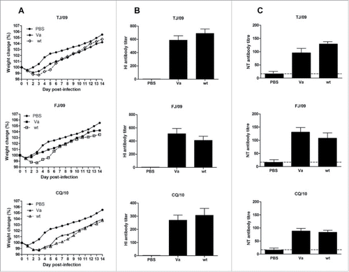 Figure 2. Immunogenicity of reassortant viruses FJ/09Va, TJ/09Va, and CQ/10Va and 3 wild type parental viruses. (A) Group of mice were immunized with one dose of 0.2 mL, 5 ug HA formalin-inactivated reassortant viruses and wild type parental viruses by subcutaneous injection, weight changes of the mice were monitored daily. (B, C) The level of antibodies was estimated by HI assay using each wild-type virus as a binding antigen. The titers of HI antibody (middle) and NT antibody (right) against FJ/09 TJ/09 CQ/10 are shown. Dashed lines indicate the detection limit of NT assay. Error bars indicate the SD of each cohort.