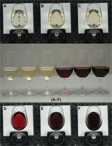 Figure 2 The middle panel shows the 6 wines measured in order from (A–F) as viewed from the side in the D65 viewing booth.