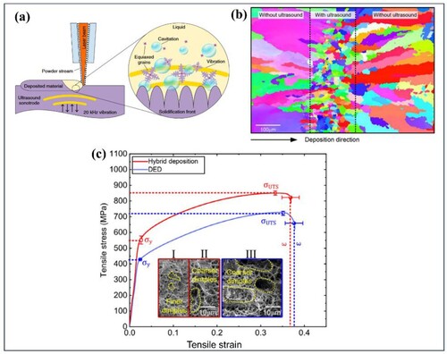 Figure 4. (a) A schematic showing the process of DED onto an ultrasound sonotrode. The high-intensity ultrasound leads to the creation of acoustic cavitation and streaming within the liquid metal. These effects vigorously agitate the molten material during solidification, resulting in the significant modification and refinement of the microstructure [Citation21]. (b) The EBSD inverse pole figure map along the build direction for the sample produced using the hybrid deposition strategy with the ultrasound on and off. This map reveals the heterogeneous microstructure with small equiaxed grains formed by ultrasound. (c) Tensile properties of IN718 part manufactured through both the hybrid deposition and conventional DED methods. (b) and (c) are reprinted with the permission from Ref. [Citation31].