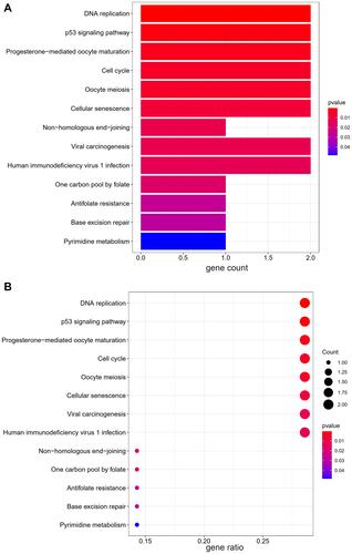 Figure 7 The results of KEGG pathways enrichment analysis. (A) The barplot of KEGG analysis, (B) The bubble plot of KEGG analysis. “Gene ratio” means the percentage of the genes that enriched in corresponding pathway in all the genes that annotated in GO dataset.