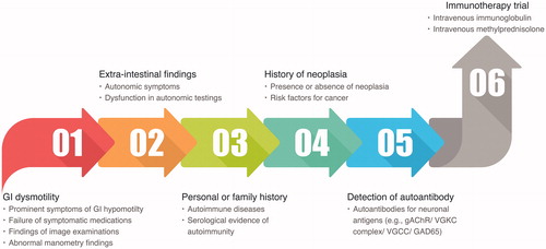 Figure 4. Current procedure for diagnosis and treatment of AGID. We recommend the screening of autonomic dysfunction and antineuronal autoantibodies, as a test for patients with severe GI dysmotility. If criteria 1 and/or 2, 3 and/or 4 and/or 5 are present in the case, the case will be considered to have a high probability of AGID. Eventually, it is better to confirm the effect of immunotherapy on the case.