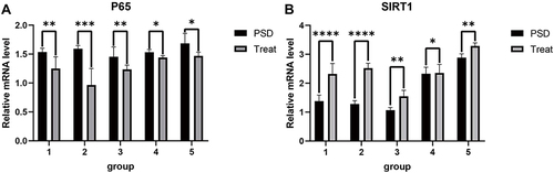 Figure 10 The expression levels of (A) P65 (P≤0.05) and (B) SIRT1 (P≤0.05) were significantly different in the brain tissue samples of post-stroke depression rats, according to qRT-PCR data. *p < 0.05, **p < 0.01, ***p < 0.001,****p < 0.0001.