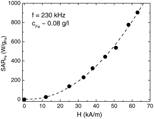 Figure 3. Specific absorption rate SARFe of Fe nanowires (∼0.08 g Fe/l) encapsulated in CNT. Measurements have been performed at f = 230 kHz after dispersing the CNT by means of human albumin in PBS (4.2 g/l).