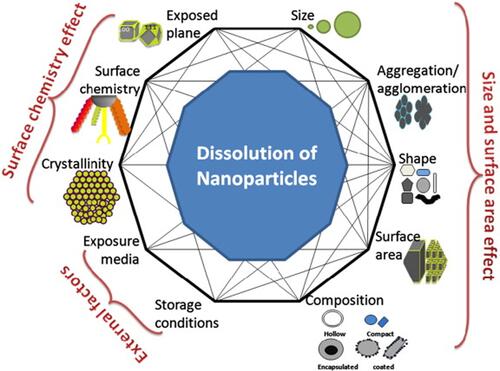 Figure 4 Schematic representation of several factors that can influence NPs behavior in solutions. Reprinted from Sci Total Environ, 438, Misra SK, Dybowska A, Berhanu D, et al. The complexity of nanoparticle dissolution and its importance in nanotoxicological studies. 225–232. Copyright 2012, with permission from Elsevier.Citation92