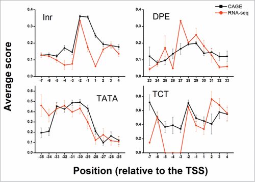 Figure 4. Average PWM score of different core promoter elements at specific positions. The average PWM score of elements (dInr, DPE, TATA and dTCT) at the allowed positions relative to the determined TSS is presented. The +1 position is the predicted TSS location. Black squares depict the average score of discovered elements using CAGE whereas red circles depict the average score of discovered elements using RNA-seq. For both CAGE and RNA-seq data, some enrichment of the mean score is detected at the expected positions (-30 for TATA, -2 for dInr and dTCT and 28 for DPE). Error bars represent the standard errors of the means (SEM).