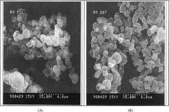 1 Scanning electron micrograph of SOD containing spray-dried microparticles prepared from PCL (A) and polylactide, PLA-R207 polymers (B).