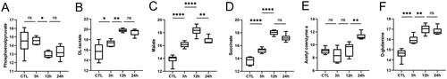 Figure 8. Glycolysis enhancement and replenishing TCA cycle. A, B The expression of glycolysis related metabolites. C-F The expression of TCA cycle related metabolites. Data were standardized by log2 transformation and expressed as mean ± SD. P < 0.05 was considered statistically significant (*p < 0.05, **p < 0.01, ***p < 0.001, ****p < 0.0001, nsp > 0.05).