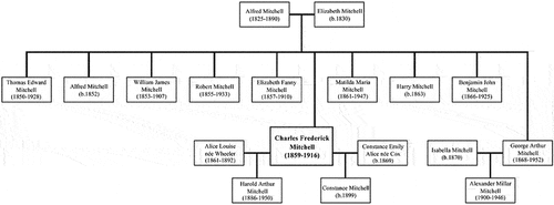 Figure 2. Mitchell’s family tree (drawn by the authors) .