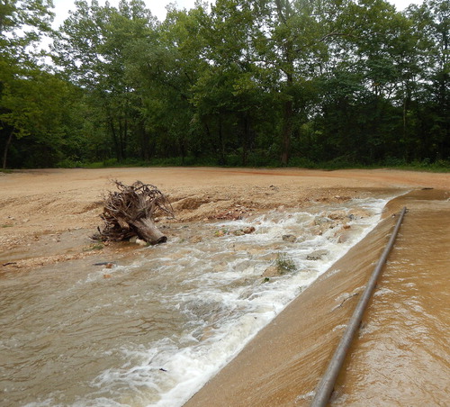 Figure 4. Image of the pseudo-fish ladder formed along the edge of the main channel crossing following heavy rainfall. The discharge at Akers Ferry is approximately 28 m3/s during this photo. Picture taken August 17, 2017.