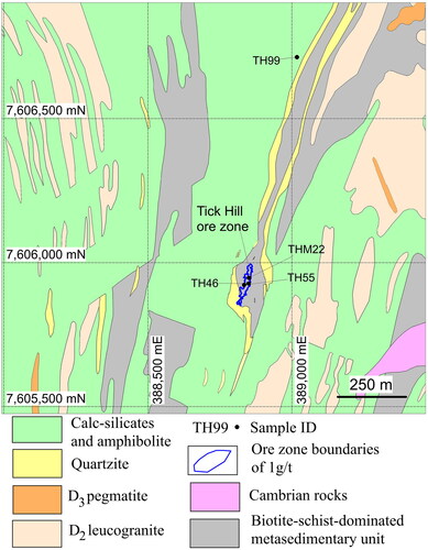 Figure 2. Geology map of local study area showing locations of mineral geochemistry samples at the Tick Hill area (adapted from Le et al., Citation2021a; Rutherford, Citation2000; Wyborn, Citation1997). The datum is Zone 54-GDA94. Samples TH46 and TH99 were collected from drill cores, whereas samples TH55 and THM22 were collected from the mining pit at different levels.