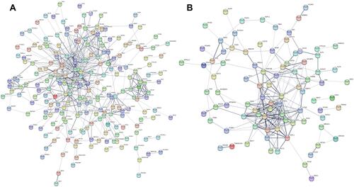 Figure 4 PPI network of the candidate target genes. (A) Upregulated DE-miRNAs; (B) downregulated DE-miRNAs.