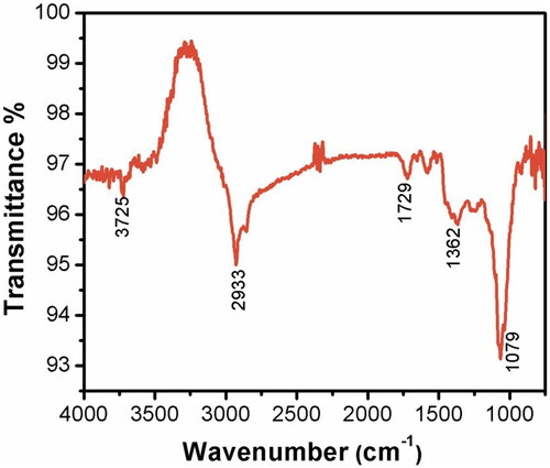 Figure 4. Fourier-transform infrared spectroscopy analysis of silver nanoparticles.