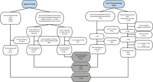 Figure 1. Flow diagram.